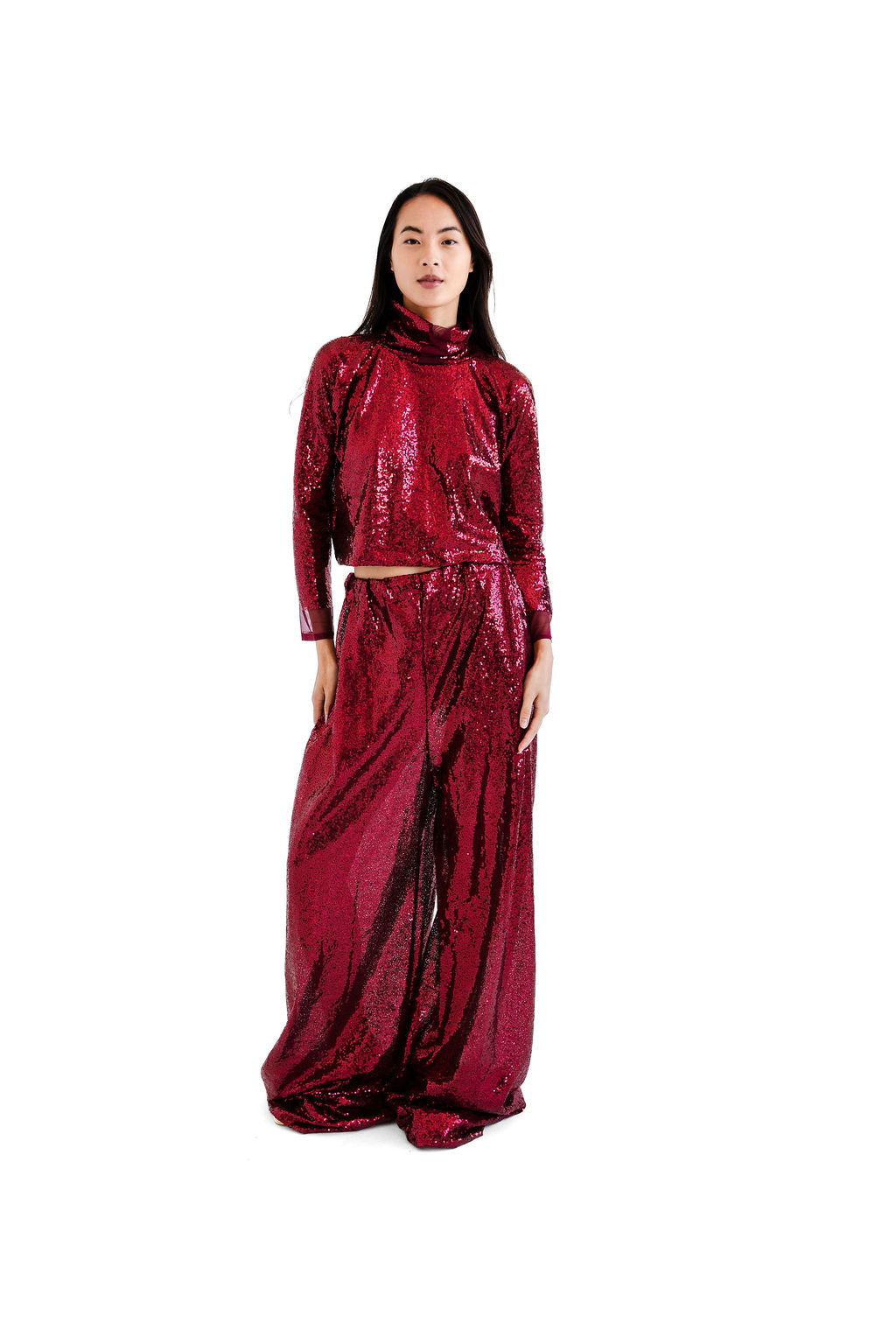 Burgundy sequined hi neck top