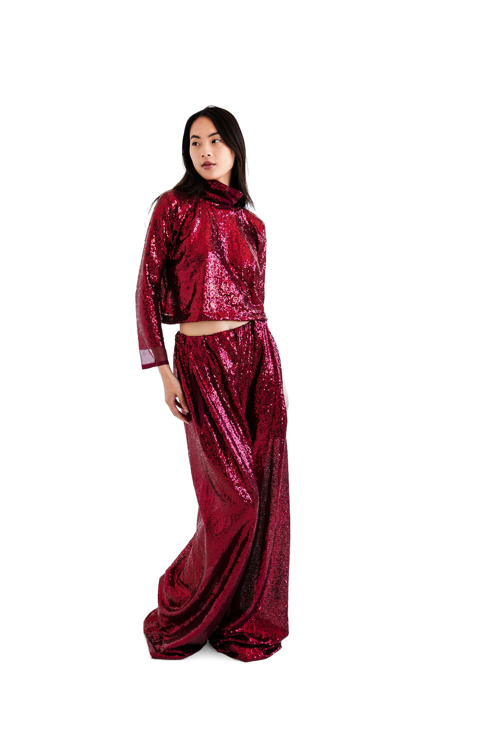 Burgundy sequined hi neck top