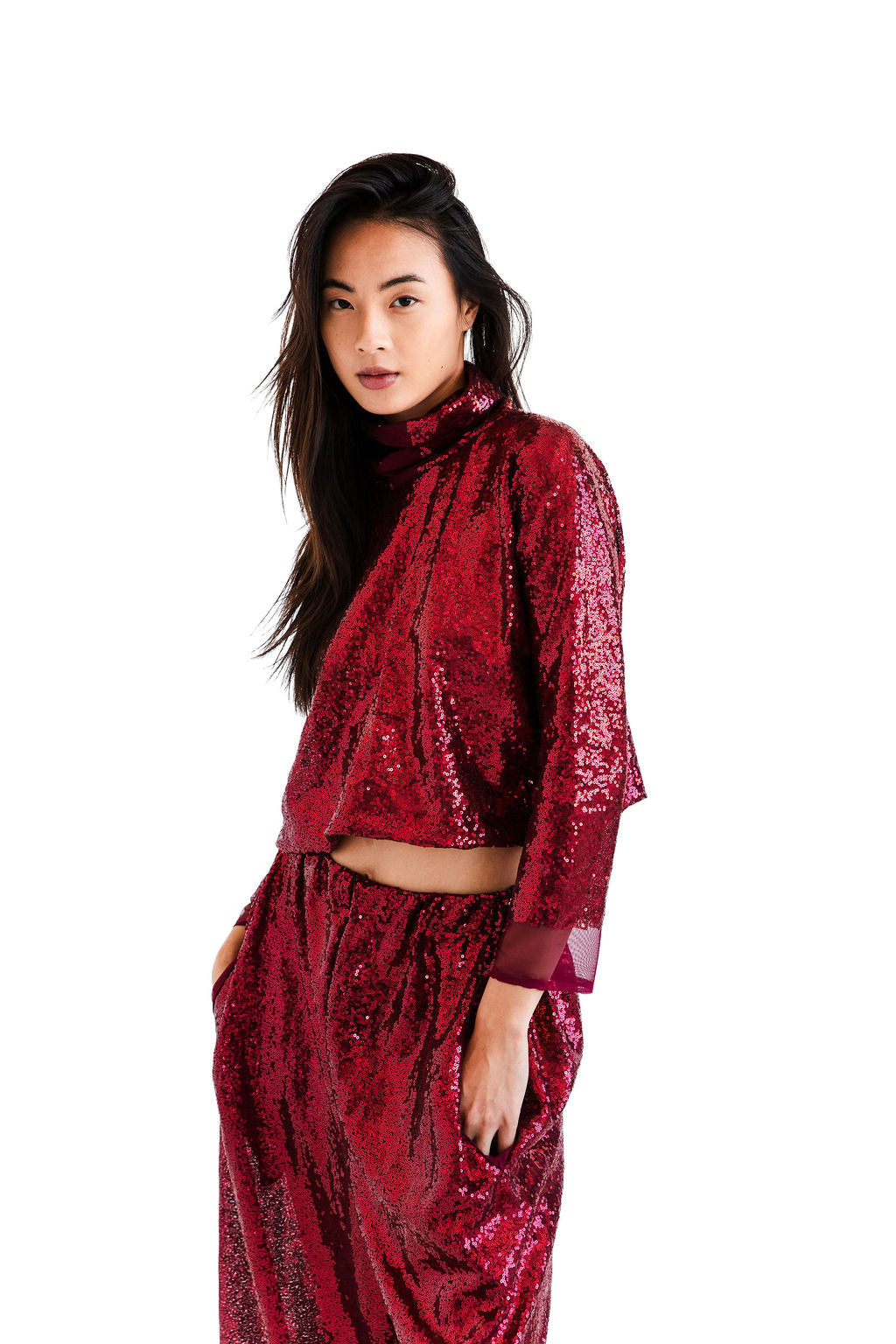 Burgundy sequined hi neck top